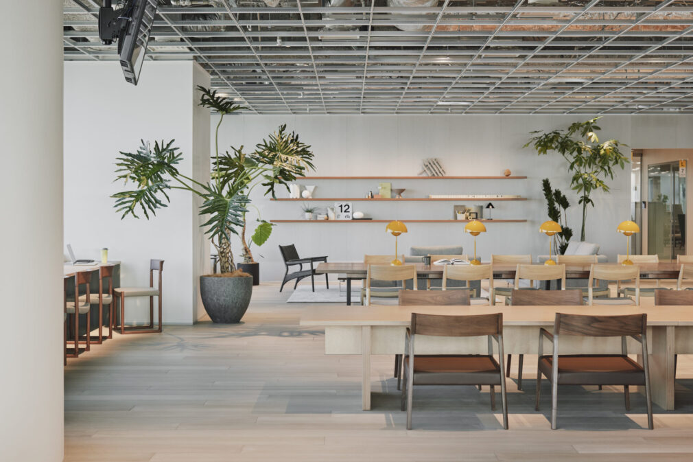 Kakao piccoma   vol.1